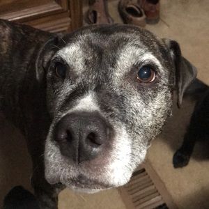 Meet your Posher, Duduncan